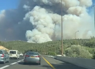 احتراق 17 ألف دونم في جبال القدس والنيران لا تزال مشتعلة 